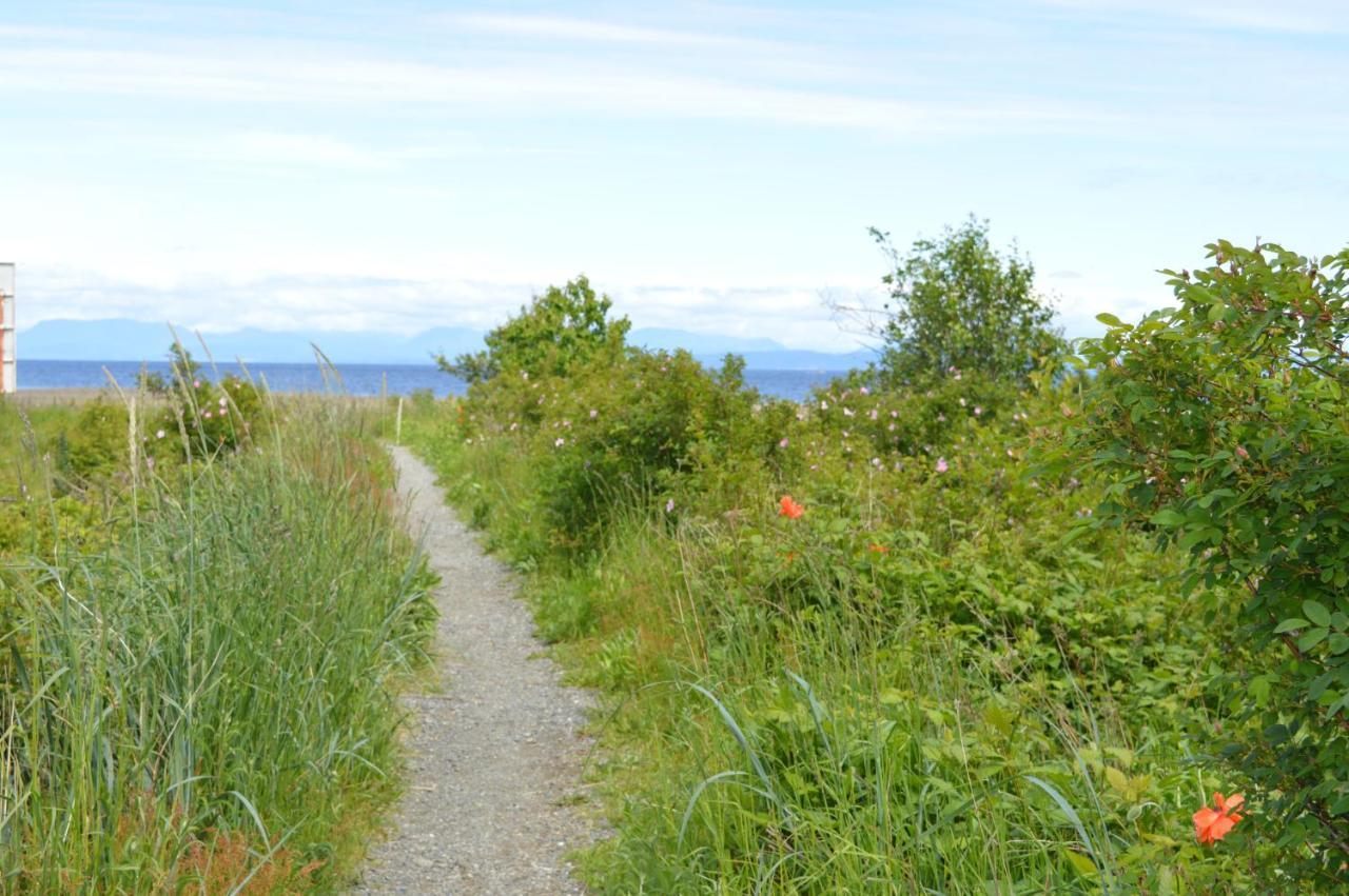 Estuary House Reflexology B&B Courtenay Eksteriør bilde
