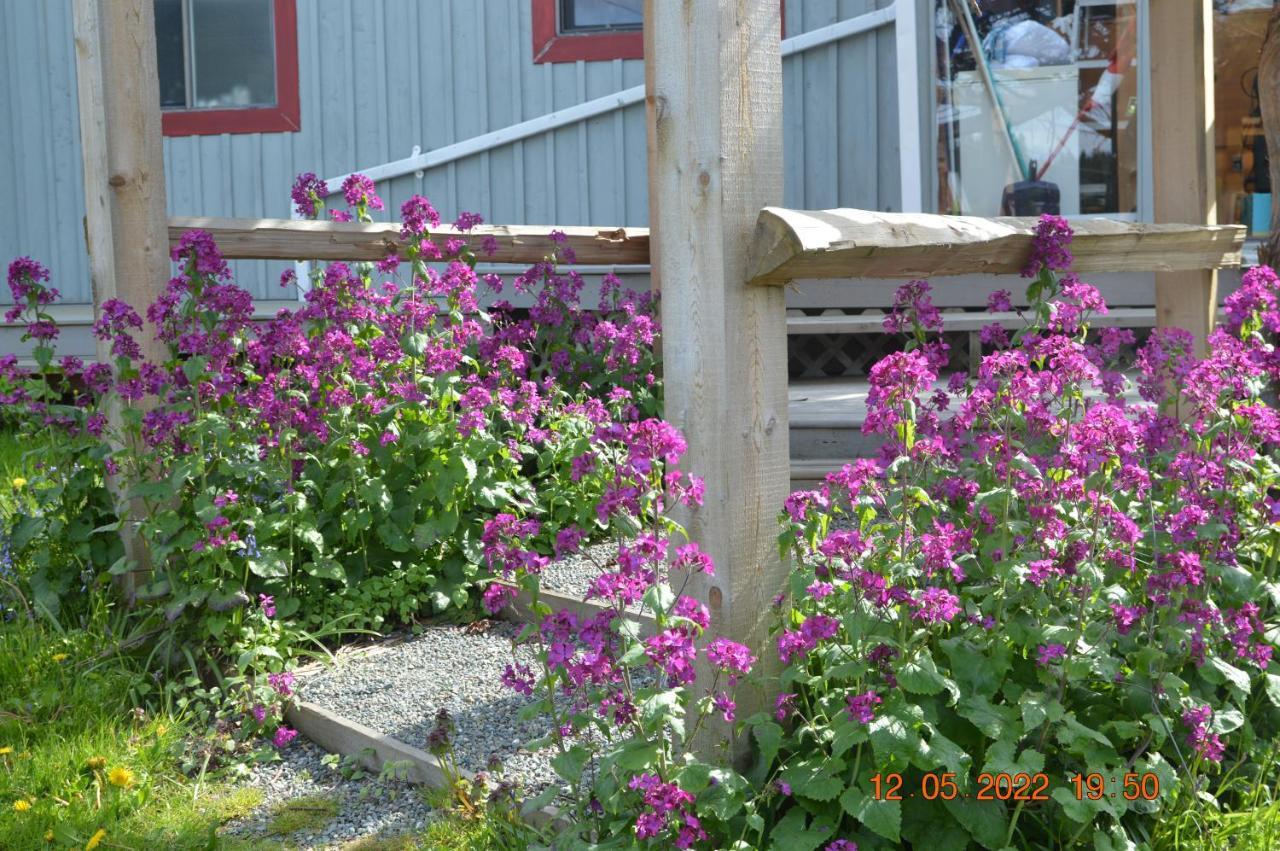 Estuary House Reflexology B&B Courtenay Eksteriør bilde
