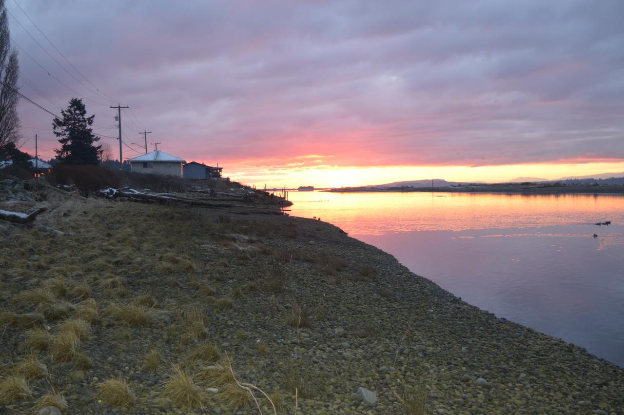 Estuary House Reflexology B&B Courtenay Eksteriør bilde
